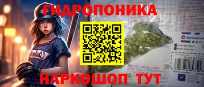ГАЛЛЮЦИНОГЕННЫЕ ГРИБЫ Берёзовский